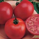 Vegetable Tomato Seeds Fresh Bradley Tomato Seeds 375 Seeds