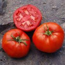 Red 125 Seeds Vegetable Tomato Seeds Rutgers Tomato Seeds