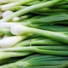 Fresh 50 Seeds For Garden Or Pot Vegetable Evergreen Bunching Onion Seeds