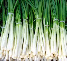 Vegetable Evergreen Bunching Onion Seeds Fresh 100 Seeds For Garden Or Pot