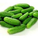 50 Seeds National Pickling Cucumber Seeds Vegetable Seeds For Garden