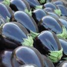 Eggplant Seeds For Garden Or Pot Vegetable 150 Seeds Black Beauty
