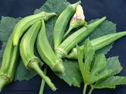 Okra Seeds For Garden Or Pot Vegetable 100 Seeds Clemson Spineless