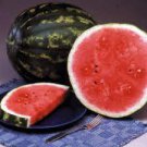 Sweet Watermelon Seeds For Garden Or Pot 50 Seeds Fruit Crimson