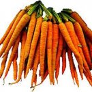 250 Seds Vegetable Imperator Carrot Seeds For Garden Or Pot
