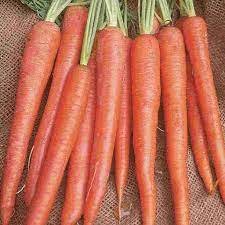 Carrot Seeds Fresh 500 Seds Vegetable Imperator For Garden Or Pot