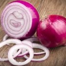 Onion Seeds Fresh 450 Seeds Onion Red Vegetable Red Creole