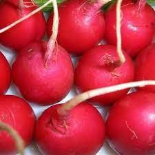 100 Seeds Crimson Giant Radish Seeds Vegetable Red Creole