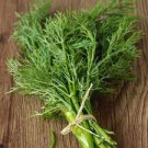Green Fresh 500 Seeds Vegetable Bouquet Dill Seeds Fresh Green