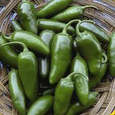 Jalapeno M Pepper Seeds 100 Seeds Vegetable Seeds