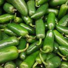200 Seeds Vegetable Seeds Green Fresh Jalapeno M Pepper Seeds