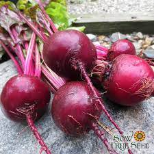100 Seeds Early Wonder Beet Seeds Vegetable Seeds Plant