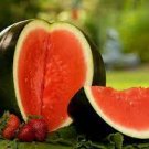 25 Seeds Sugar Baby Watermelon Seeds Vegetable Seeds Plant