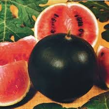 Watermelon Seeds Fruit Seeds Plant 100 Seeds Sugar Baby