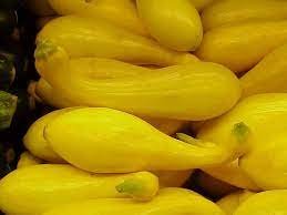 Vegetable Yellow Squash Seeds Fresh Crookneck 80 Seeds