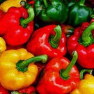 Bell Pepper Seeds Vegetable California Wonder 300 Seeds