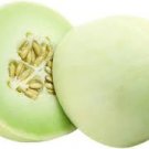 Watermelon Fresh Fruit Seeds 50 Seeds Honeydew Melon Seeds
