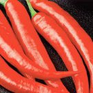 Cayenne Long Slim Vegetable Papper Red 200 Pcs
