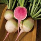 Vegetable 200 Seeds Watermelon Radish Seeds For Garden Fresh
