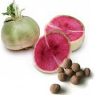 Watermelon Radish Seeds Vegetable 400 Seeds For Garden Fresh
