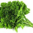600 Seeds Vegetable Triple Curled Parsley Seeds