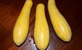 Yellow Straightneck Squash Vegetable Early Prolific 20 Seeds