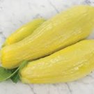 40 Seeds Yellow Straightneck Squash Vegetable Early Prolific