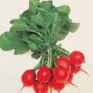 Radish Seeds 200 Seeds Cherry Belle Vegetable