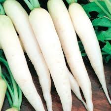 Fresh Vegetable 400 Seeds Vegetable White Icicle Radish Seeds