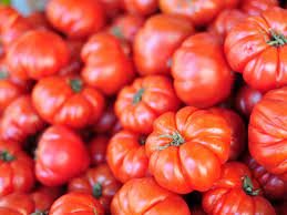 500 Seeds Beefsteak Tomato Seeds Fresh Vegetable
