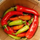 Pepper Seeds  Hungarian Wax Hot Vegetable 400 Seeds