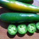Serrano Chili Pepper Seeds Vegetable 100 Seeds