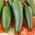 Chili Pepper Vegetable 400 Seeds Serrano Seeds