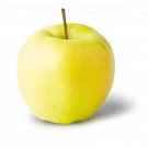 10 Seeds Apple Fruit Ginger Gold Delicious Seeds