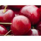1 Fruit Live Plant Sweet Cherry Tree Seedling Edible Fruit Live Plant