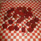 Super Dried Carolina Reaper Pods Live Plants Lot of 3 Vegetable