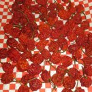Super Dehydrated Dried Carolina Reaper Pods Live Plants Lot of 60 Vegetable