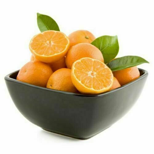 1pcs Live Plant Dwarf Ponkan Mandarin/Tangerine Tree Live Citrus Plant