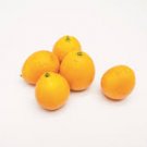 1pcs Fukushu Kumquat Tree Semi Dwarf Live Citrus Fruit Live Plant