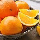 Robertson Navel Orange 1 Plant Tree Semi-Dwarf Live Citrus Plant, Potted