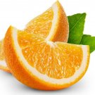 Citrus Plant 4pcs Seedless Pineapple Orange Tree Live Fruit Plant Dwarf