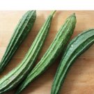 30 Count Vegetable Angled Luffa Seeds Loofah Loofa Gourd Squash