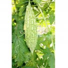 45 Count Vegetable White Pearl Bitter Melon Seeds Chinese Bitter Gourd