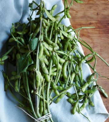 120 Count Vegetable Midori Giant Japanese Edamame Seeds Korean Chinese Soybean