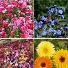 750 Count Flower Birds, Bees, Butterflies - Pollinator Mix Flower Seeds