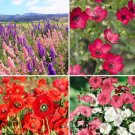 1500 Count Flower Birds, Bees, Butterflies - Pollinator Mix Flower Seeds