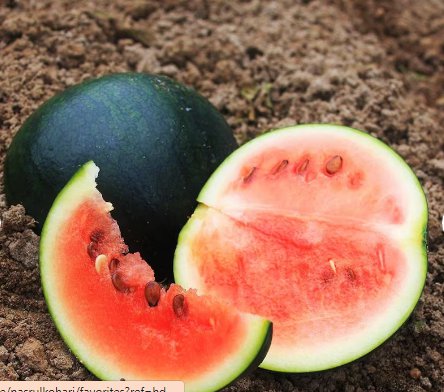 20 Count Vegetable Melon Black Garden Watermelons Seeds