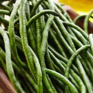 30 Count Vegetable Chinese String Asparagus Pea Cowpea Beans Edamame