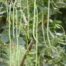 90 Count Vegetable Chinese String Asparagus Pea Cowpea Beans Edamame