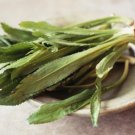 1200 Count Vegetable Seeds Benhi Recao Bhandhania Chinese Vietnamese Cilantro